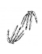 Second Hand