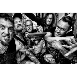 The Idiots – Schweineköter  (CD)