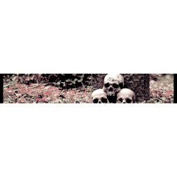 Necros Christos - Domedon Doxomedon ( 3 CD Box )