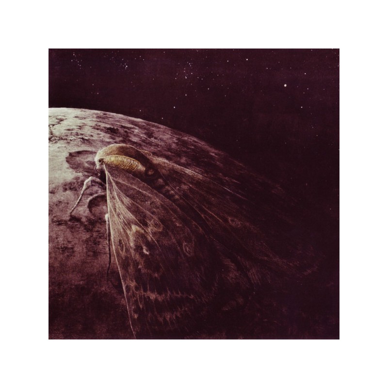 Augrimmer - Moth And The Moon (II. Hand CD)