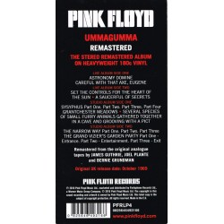 Pink Floyd - Ummagumma (Double Black Vinyl)