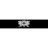 Xasthur - Victims Of The Time (2CD Artbook)