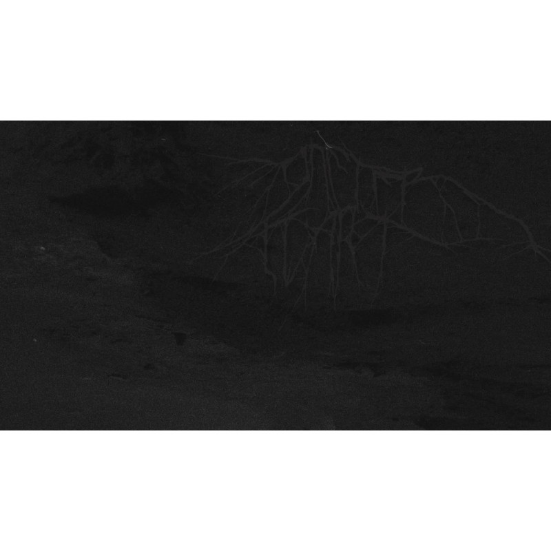 Gneterswart - Gneterswart (10" MLP, lim. 309)