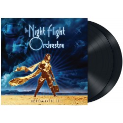 The Night Flight Orchestra...