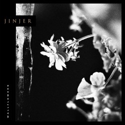 Jinjer - Wallflowers (Black...