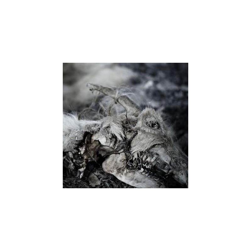 Aphonic Threnody - When Death Comes (Double Black Vinyl)