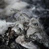 Aphonic Threnody - When Death Comes (Double Black Vinyl)