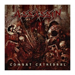 Assasin - Combat Cathedral...