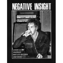 Negative Insight Issue 2...