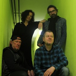 The Tierheims - Cornered Cat (Digi - CD)