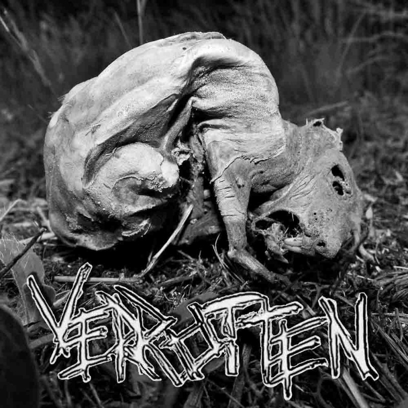 Verrotten - dto. (CD)