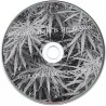 Samiam / Texas Is The Reason - Your Choice Live Series 037 (CD) RARITÄT