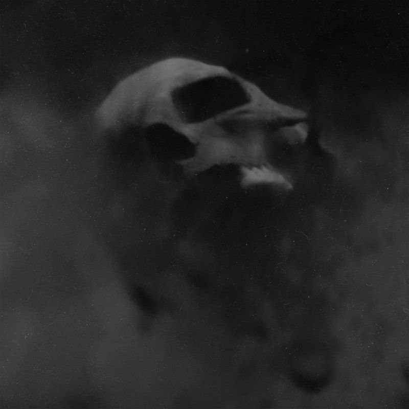 Hadopelagyal - Nereidean Seismic End (Vinyl)