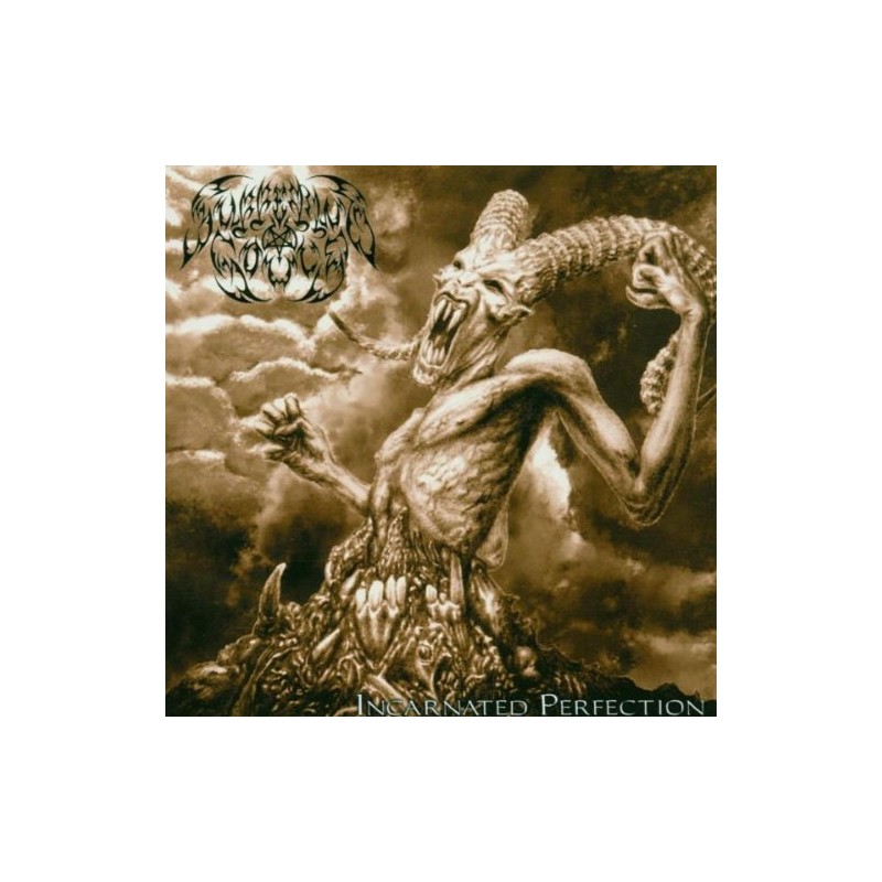 Suffering Souls - Incarnated Perfection (CD)