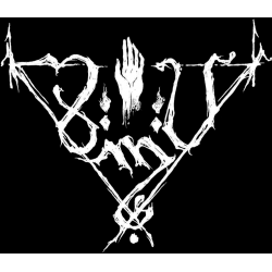 Shrine Of Insanabilis - Disciples Of The Void (CD)