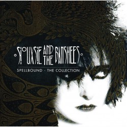 Siouxsie & The Banshees –...