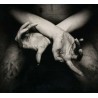 Shining - X-Varg Utan Flock (Digi-CD)