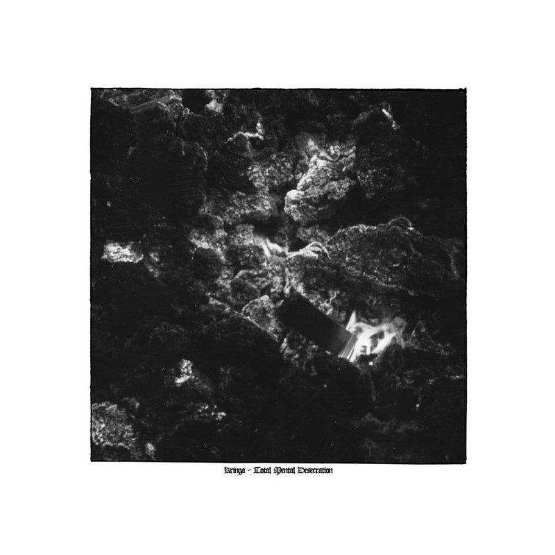 Kringa - Total Mental Desecration (10inch Vinyl)
