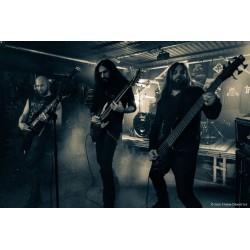 From the Vastland - Taurvi (Vinyl)