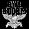By A Storm - Beware Of The Underdogs (Black Vinyl)