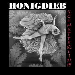 HONIGDIEB - SCHMETTERLING (...