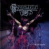 Pyphomgertum - To The Mesphil (Black Vinyl)