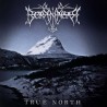 Borknagar - True North (CD)