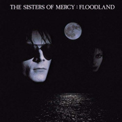 The Sisters Of Mercy -...