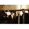 Maximo Park - Nature Always Wins (Vinyl)