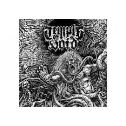 Temple Of Void - The First...