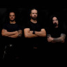 The Omega Swarm - Crimson Demise ( Black Vinyl )