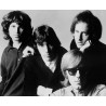 The Doors - In the beginning ( Black Vinyl )