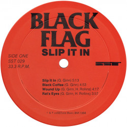 BLAG FLAG - SLIP IT IN ( Vinyl II.Hand  Rarität )