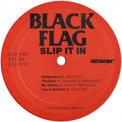 BLAG FLAG - SLIP IT IN ( Vinyl II.Hand  Rarität )