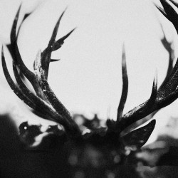 Ihsahn - Ihsahn  (CD)
