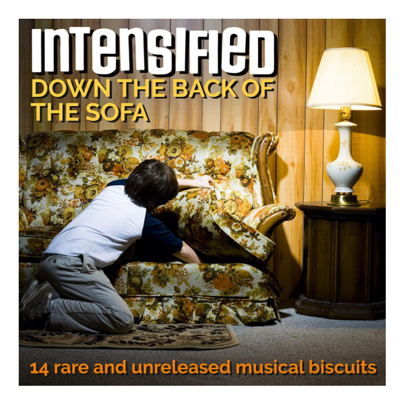 Intensified - Down The Back Of The Sofa, Vinyl