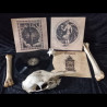 Nubivagant - The Blame Dagger ( Black Vinyl )