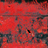 Concrete Winds - Concrete Winds ( CD )