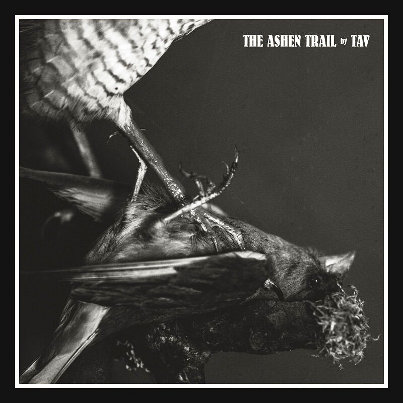 TAV - The Ashen Trail (lim. 12"LP)