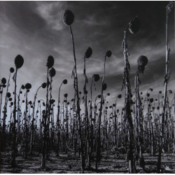 Dead Can Dance – ANASTASIS...