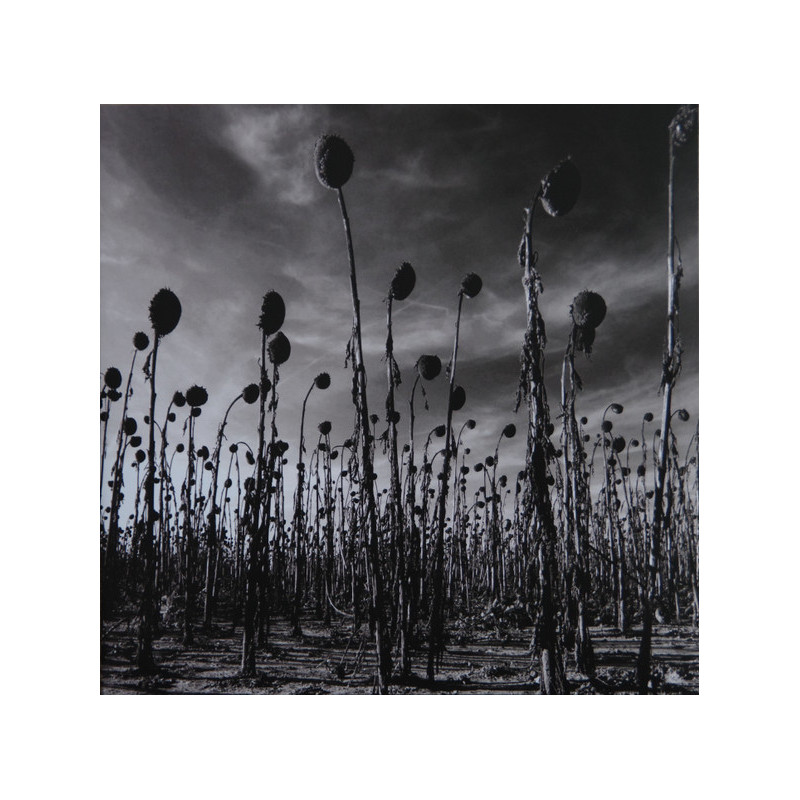 Dead Can Dance – ANASTASIS ( Doppel Coloured Vinyl )