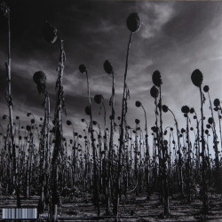 Dead Can Dance – ANASTASIS ( Doppel Coloured Vinyl )