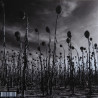 Dead Can Dance – ANASTASIS ( Doppel Coloured Vinyl )