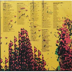 Joe Strummer - Earthquake Weather (II.HAND Black Vinyl)
