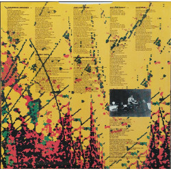 Joe Strummer - Earthquake Weather (II.HAND Black Vinyl)