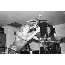 Iggy & The Stooges - Fun House (2LP)