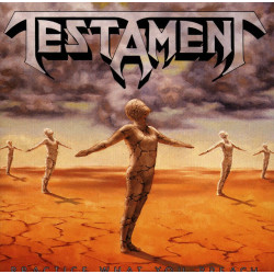 Testament - Practice What...