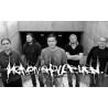 Heaven Shall burn - Wanderer ( 2 x Vinyl Blue 2016 )