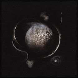Enthroned - Cold Black Suns...