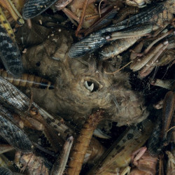 Hessian - Mànégarmr (2....